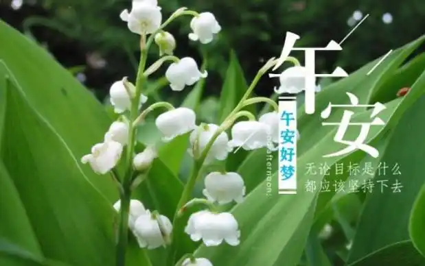 午安心语简短的句子 朋友圈午安唯美句子