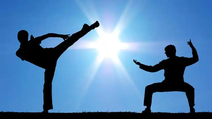 武术精髓之:中华武术与现代奥林匹克精神_话武术_武术文化_散打王赛事