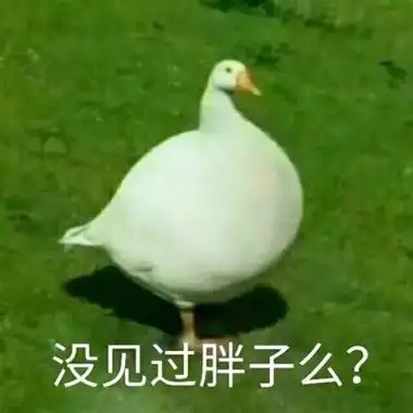 最近流行的鸭子表情包头像图片
