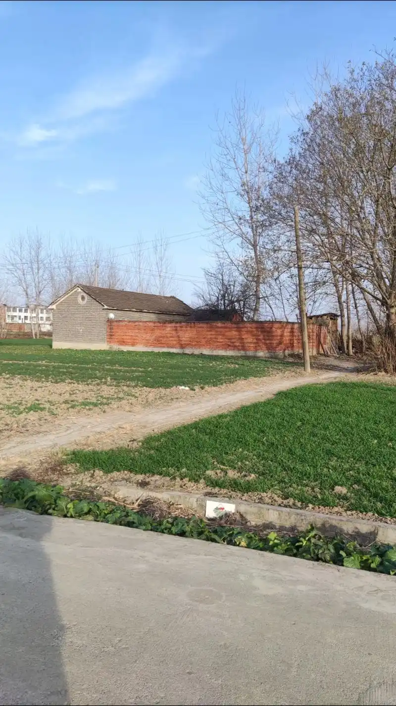 乡间小路自然风景 #红枫树 #农村新景象 #大自 - 抖音