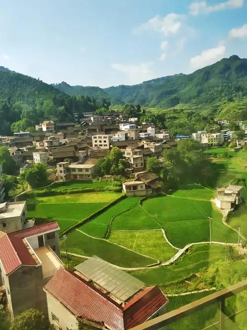 火车上的风景乡村田园