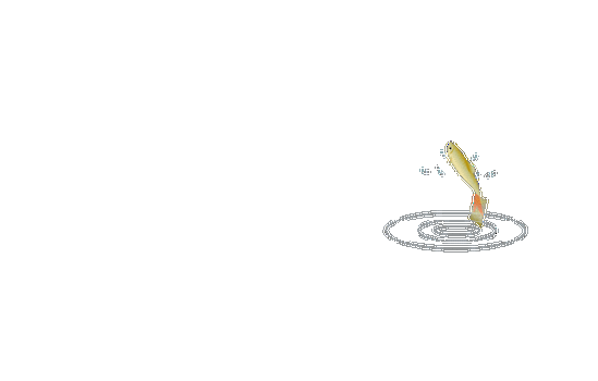 透明gif动画鱼类素材