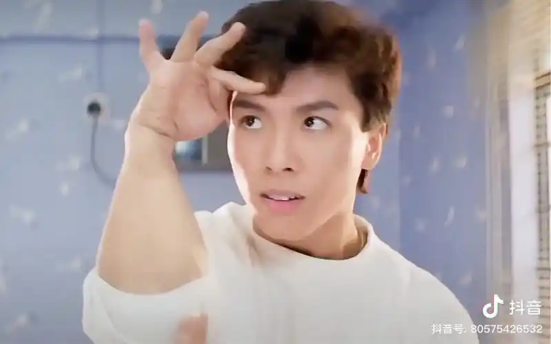 年轻时的甄子丹又帅又骚