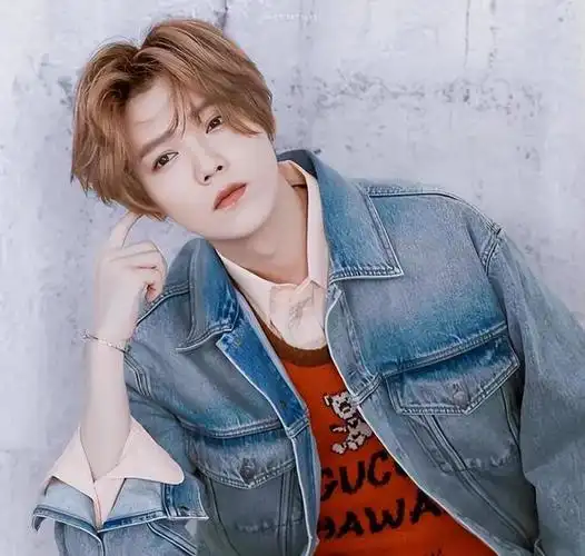 顶流鹿晗时代离你而去的时候是不会打招呼的