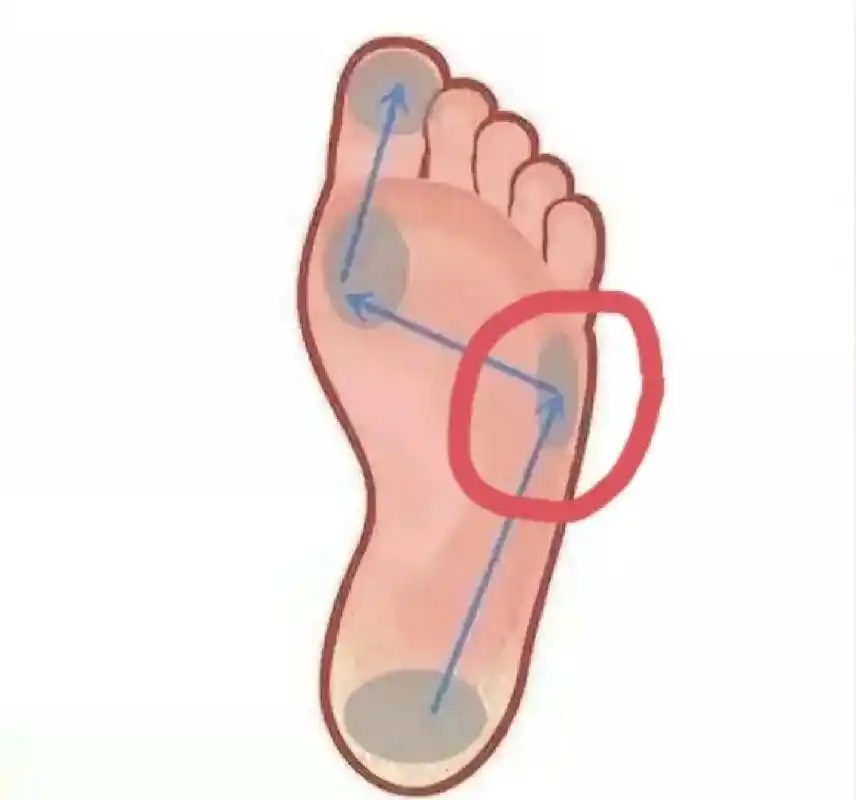 走路足底正确发力顺序(从下往上) 走路特别注意画圈的小脚趾球发力