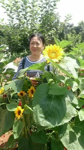 以及舞动裙摆的妩媚的百合花 给我们无限的惊讶 妈妈 您养我们长大