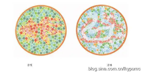 快来检查一下你是不是色盲?