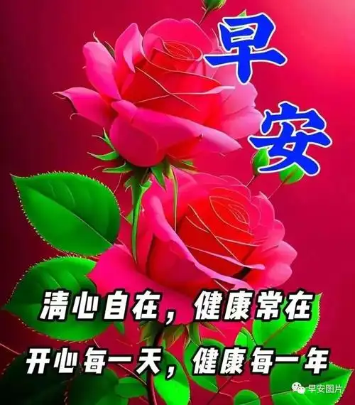 早安祝福图片问候语,真诚祝福,健康永远!早安吉祥,周末愉快!