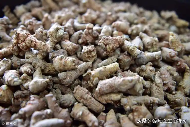 中药三七中药三七图片