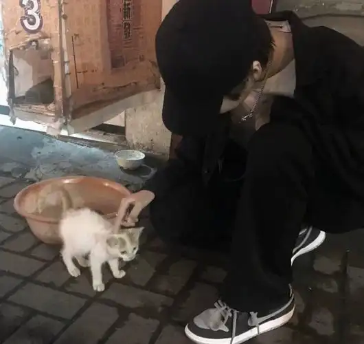 推歌 ins冷淡风男生头像(7)插图2