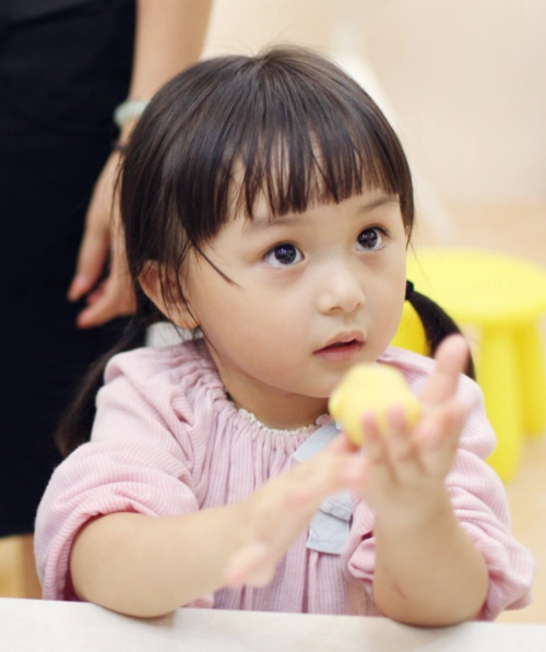 刘楚恬 小芈月 小高月