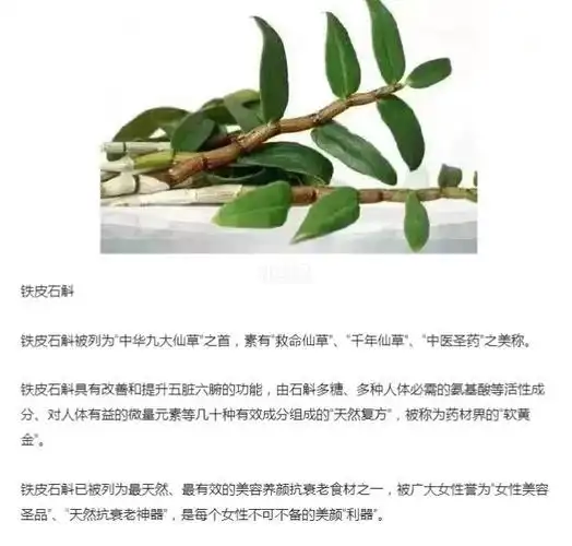 网上摘录的铁皮石斛内服外用的美容功效,比较全面了,大家参考,我们的