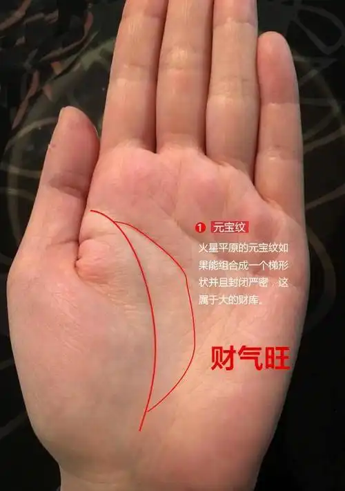 手握金元宝,财神陪到老,这种手相的人,注定是要大富大贵的_纹路