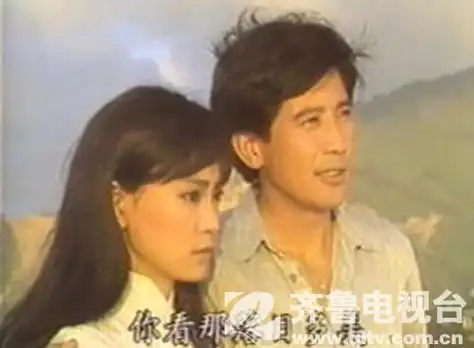 电视剧烟雨蒙蒙刘雪华版高清1986