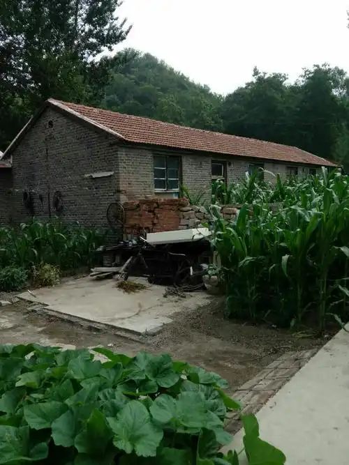 昔曰的平房,虽已面目全非,心底里有它的一席之地.