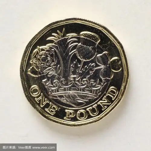 单一新的英国一英镑硬币2017近距离