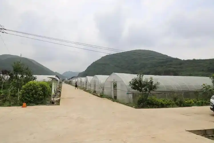 走向乡村振兴小坝镇紧盯三个三推进农业现代化