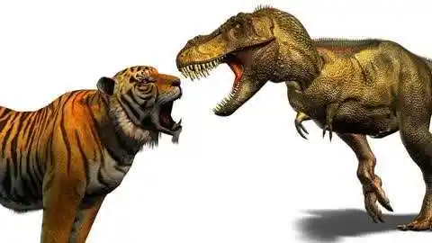 如果老虎和狮子有着霸王龙那样的体型,和霸王龙打谁会赢?