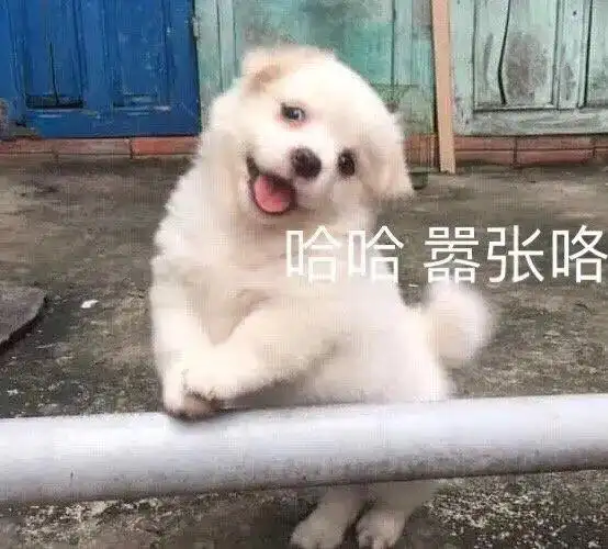 哼嚣张qq表情包斗图表情