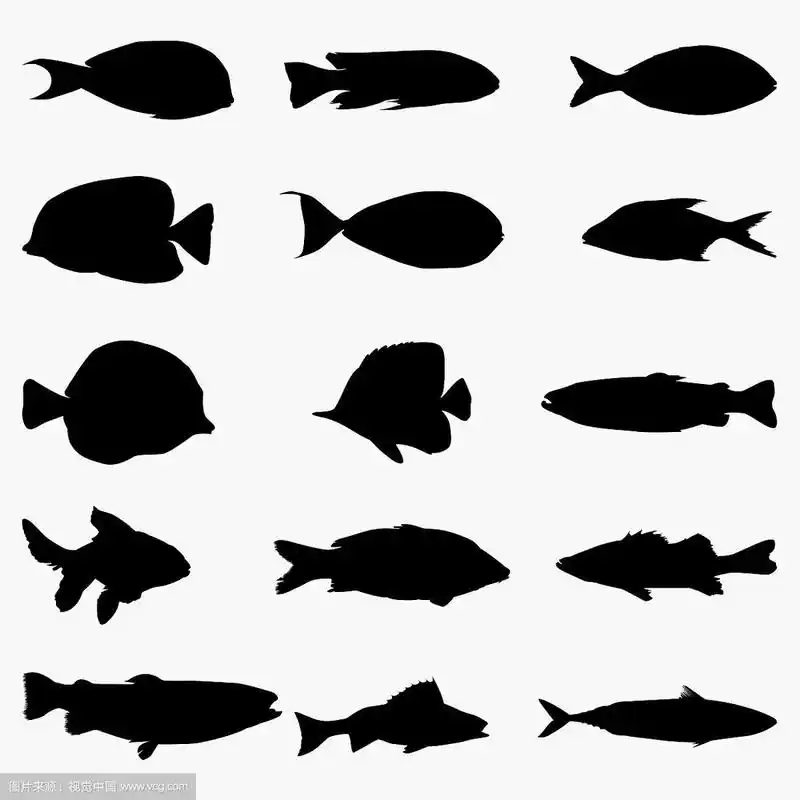 鱼的剪影