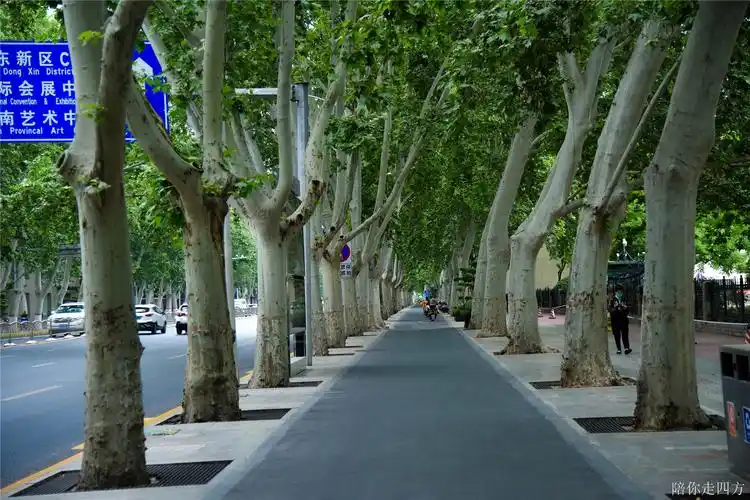 法桐- 热门商品专区