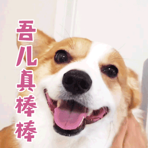 四, 离开校园这么久,我成了一个( 更傻 )的自己.