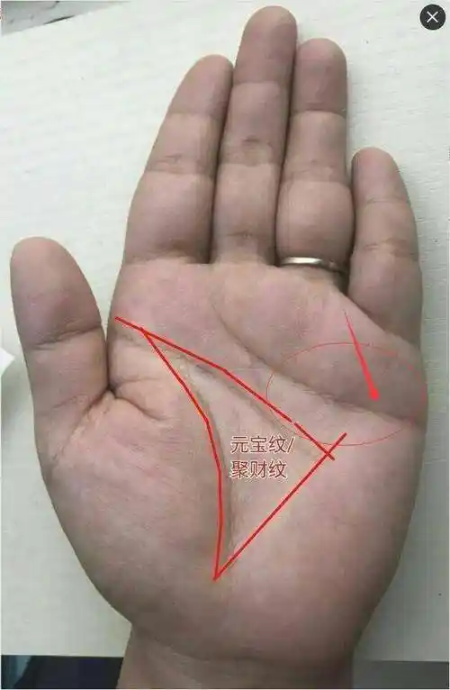 实战分析女士手相,这元宝纹真不错,只是不适合早婚__凤凰网