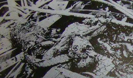 原创他是民国时期的东北首富地位仅次于张作霖后和张一起被炸死