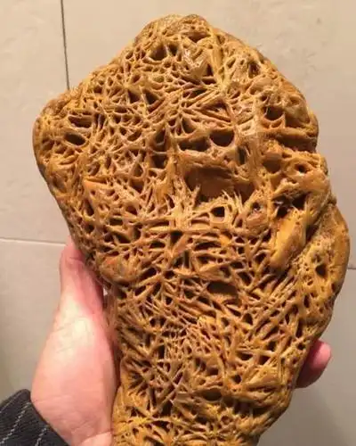 男子野外探险发现罕见奇石,发到网上,立马引起热议