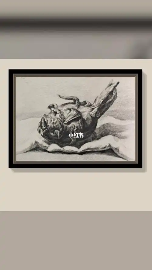 静物素描火龙果