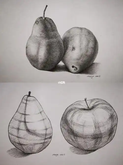 素描水果排线