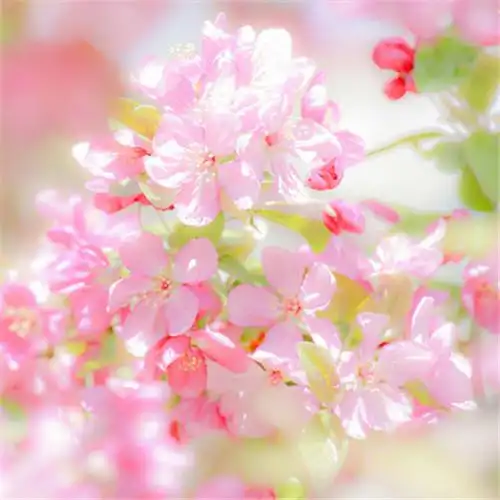 适合一辈子风景头像图片