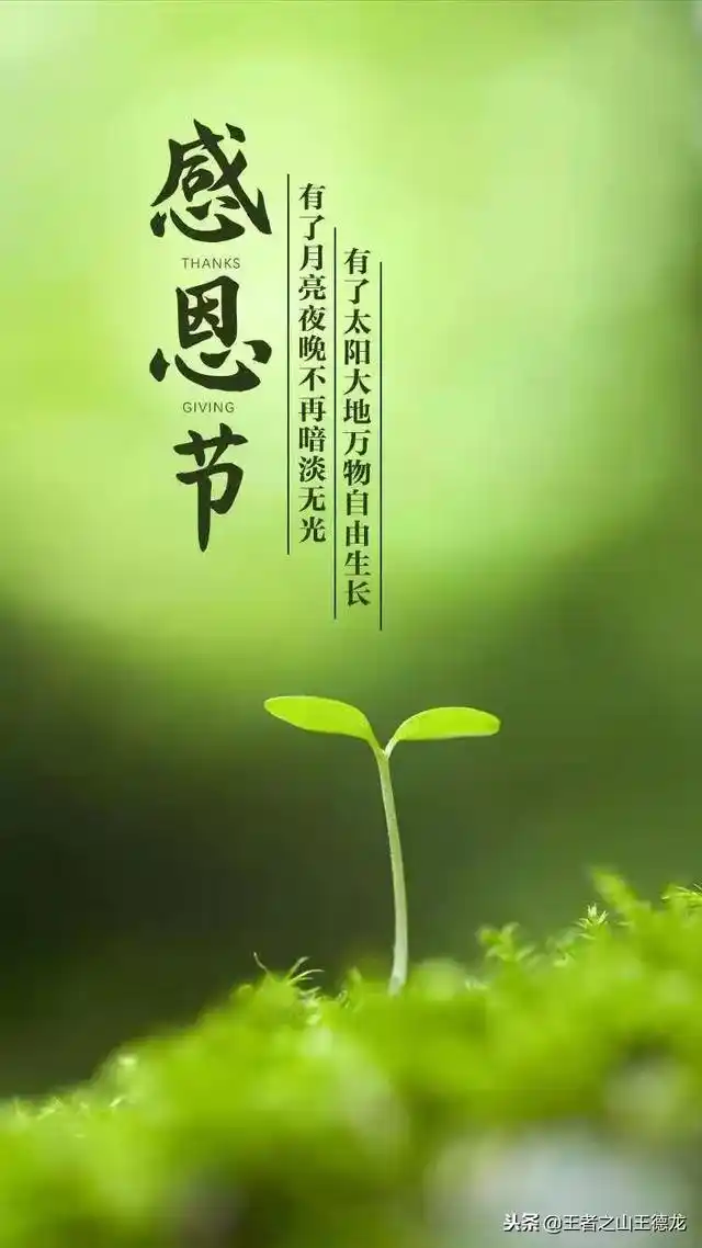 感谢一路上有你