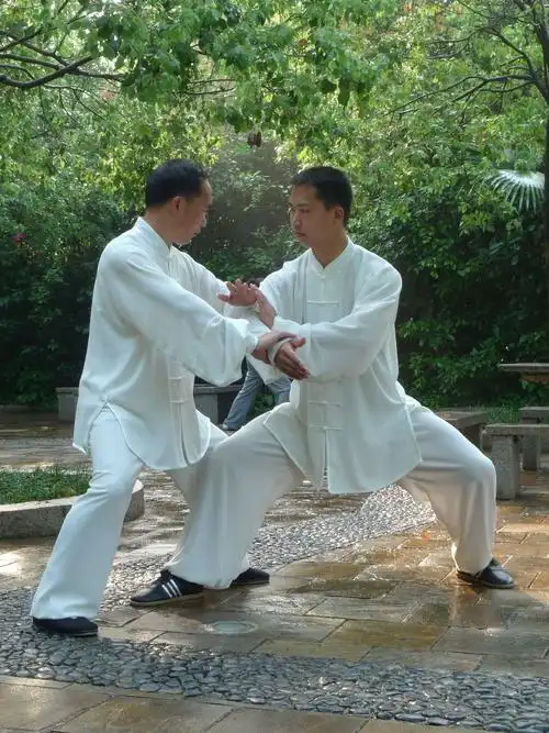 太极拳推手图解