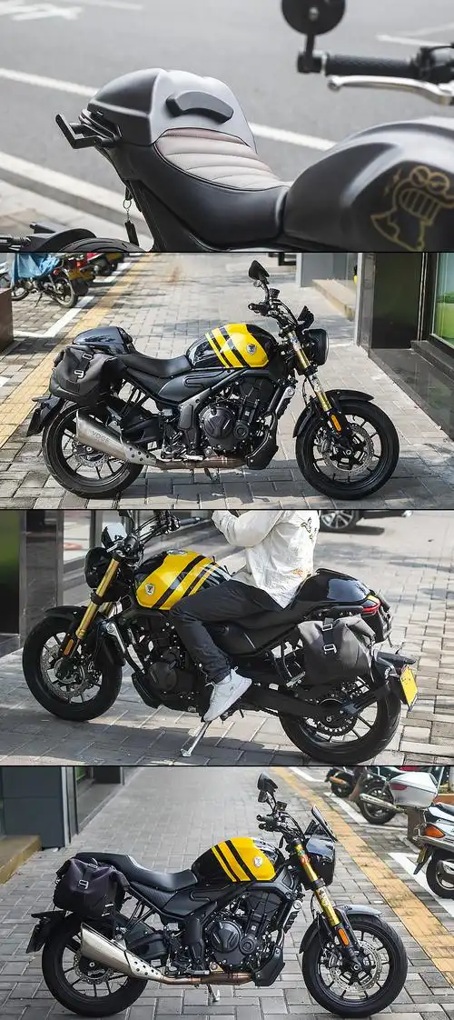 【一站式改装】适用于无极500ac复古改装配件猪头罩风挡尾罩发动机