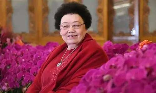 中国最漂亮的女首富 中国十大女富豪照片