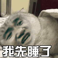 猫萌宠喵星人我先睡了soogifsooguf出品gif动图_动态图_表情包下载
