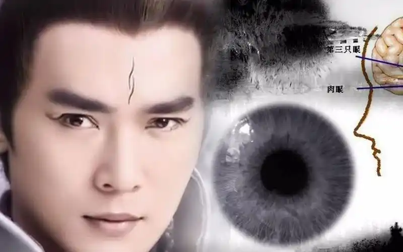 二郎神的第三只眼每个人都有?揭秘人体"天眼"消失之谜!