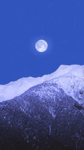 花又开好了手机壁纸/无水印壁纸/高清壁纸/锁屏壁纸/少女心壁纸/风景