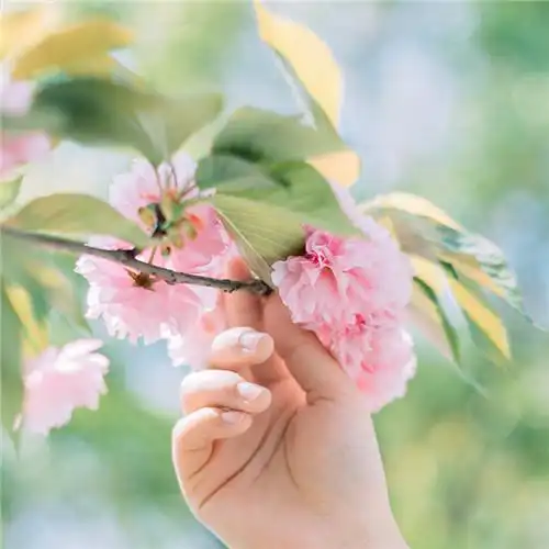 高清能带来好运的微信头像大全2021图片