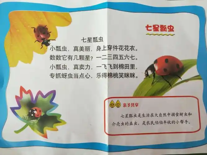 大班小朋友做的是七星瓢虫,小朋友们做彩泥的时候都很开心,也很积极