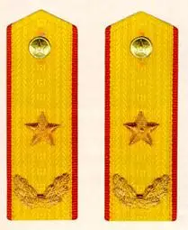 概述 2 少将军衔 军衔饰带 军衔发展 大事年表 3 军衔标识 陆,海,空军