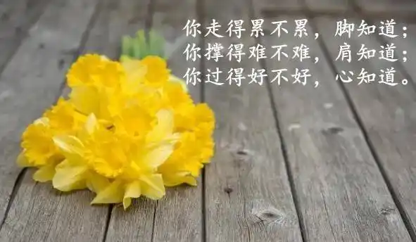 人生心情感悟经典短语,总有一句入你心