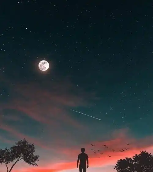 夜深孤独的经典句子 形容一个人在深夜寂寞孤独的难以入睡诗词