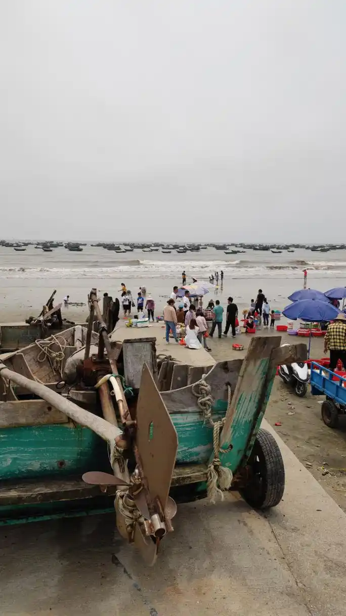 电白童子湾是澳内海边的一个渔村边的海湾,每天有大