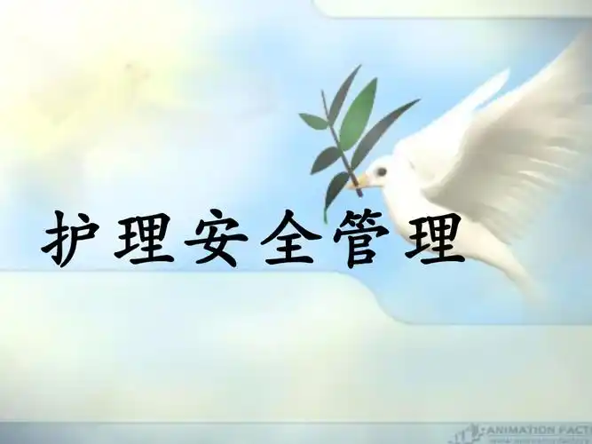 护理安全管理