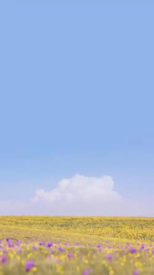 小清新绿色田园唯美风光