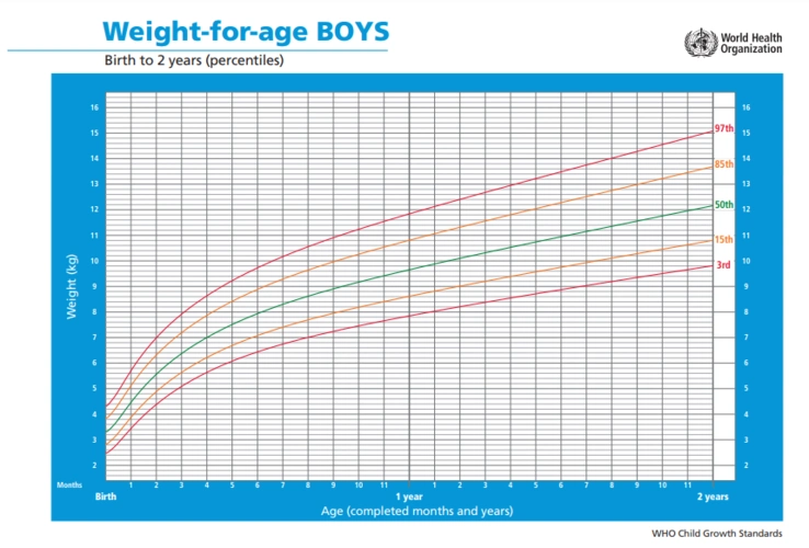 直到妈妈的预产期前,妈妈们需要用专门的早产儿生长曲线,孩子生长到40
