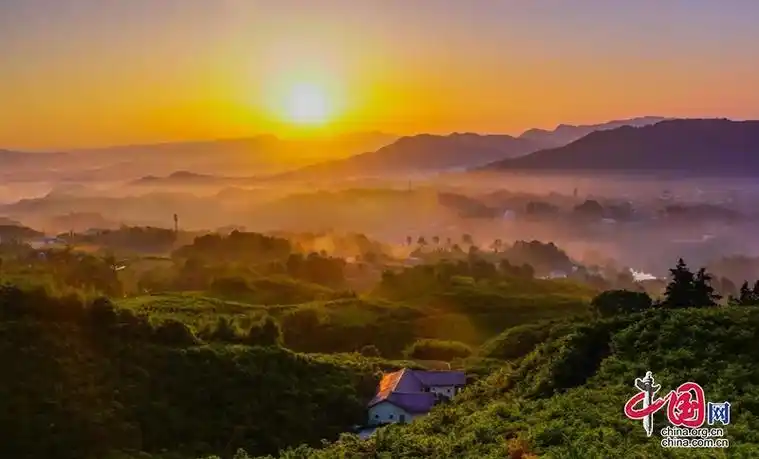 泸州纳溪三个在前筑牢防火墙干群携手守山护林