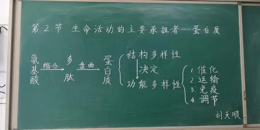 刘天顺老师的生物板书设计